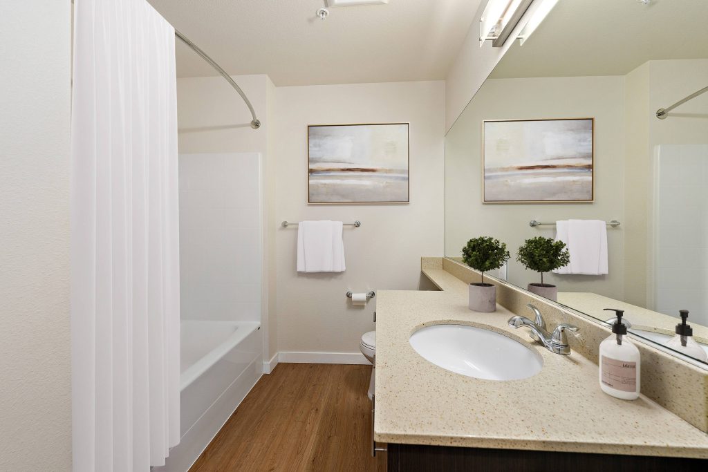 Bathroom vanity with tub