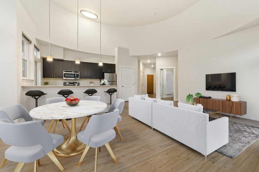 Dining table and living area